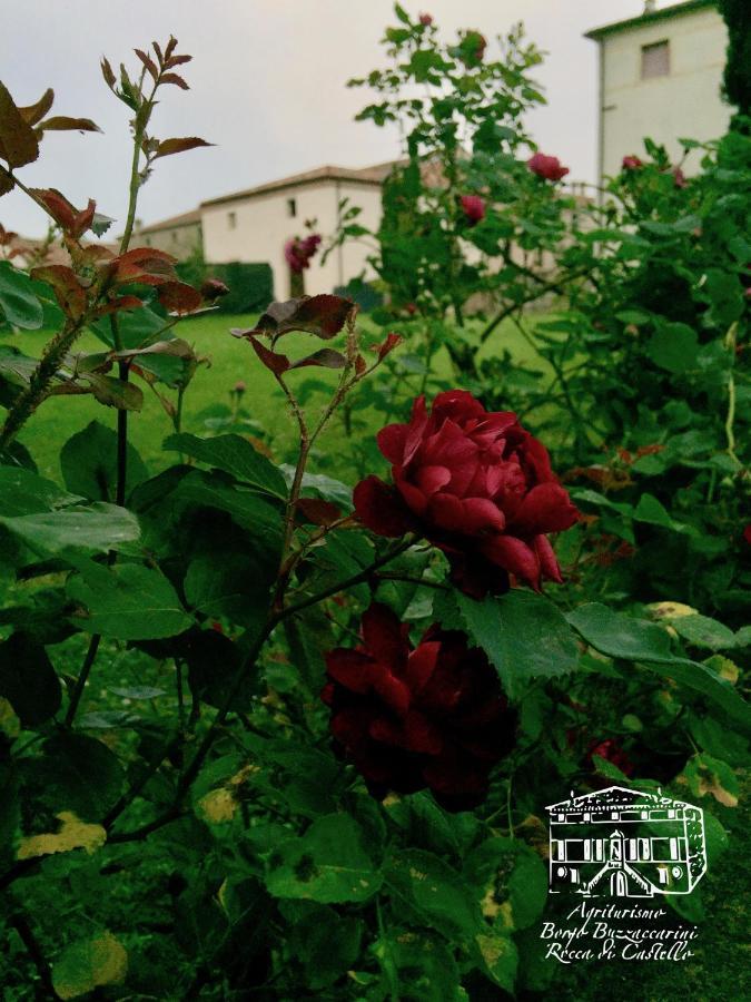 Agriturismo Borgo Buzzaccarini Rocca Di Castello 몽셀리체 외부 사진