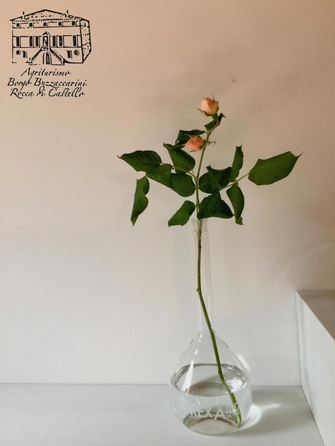 Agriturismo Borgo Buzzaccarini Rocca Di Castello 몽셀리체 외부 사진